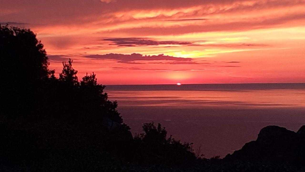 Villetta Rocchi - Costa Paradiso Dış mekan fotoğraf