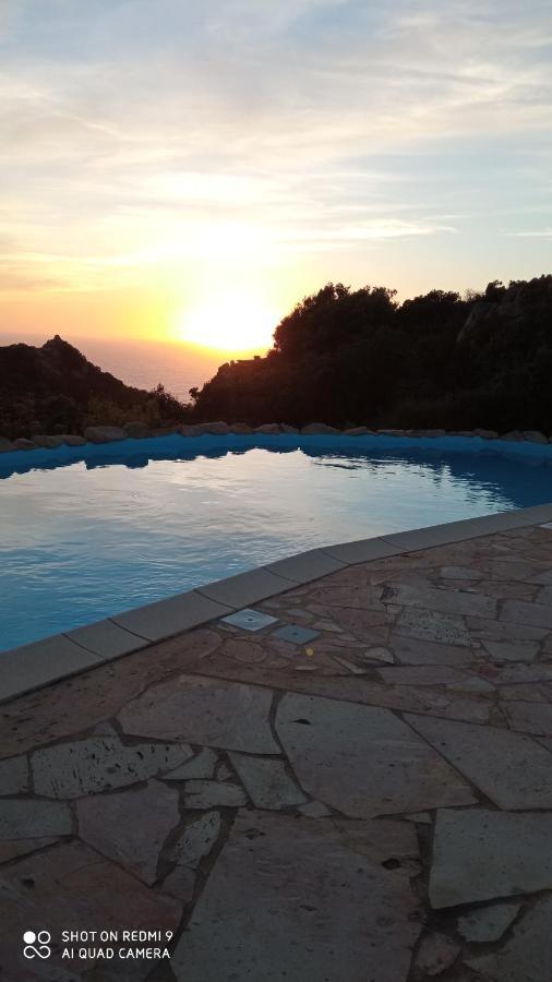 Villetta Rocchi - Costa Paradiso Dış mekan fotoğraf