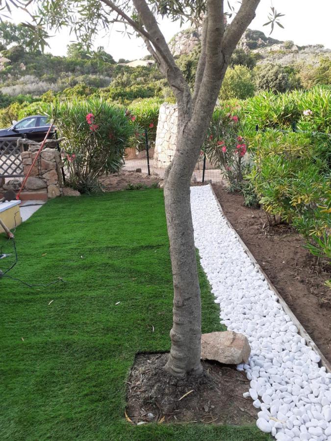 Villetta Rocchi - Costa Paradiso Dış mekan fotoğraf