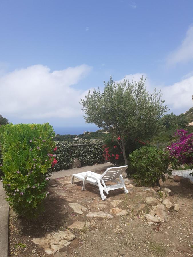 Villetta Rocchi - Costa Paradiso Dış mekan fotoğraf